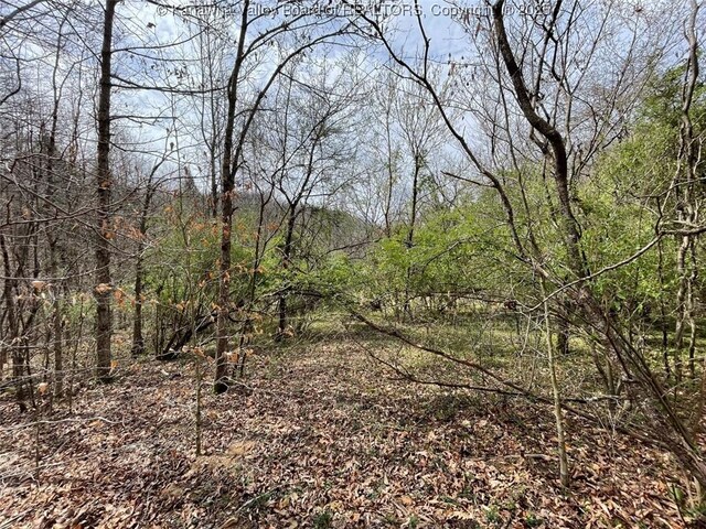 0 Wade Adkins Branch Rd, Kiahsville, WV 25512