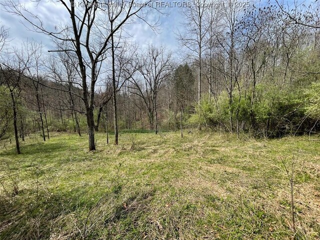 0 Wade Adkins Branch Rd, Kiahsville, WV 25512