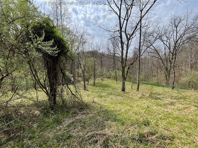 0 Wade Adkins Branch Rd, Kiahsville, WV 25512