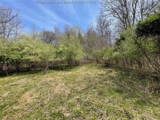 0 Wade Adkins Branch Rd, Kiahsville, WV 25512