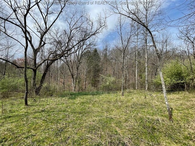 0 Wade Adkins Branch Rd, Kiahsville, WV 25512