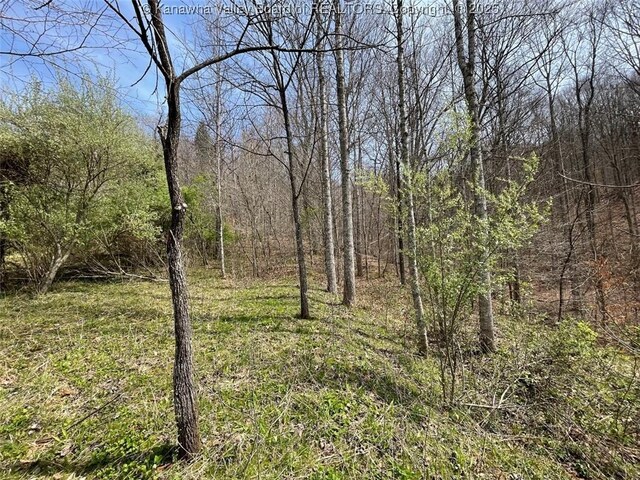 0 Wade Adkins Branch Rd, Kiahsville, WV 25512