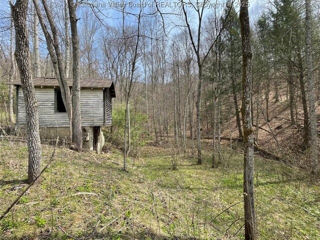 0 Wade Adkins Branch Rd, Kiahsville, WV 25512