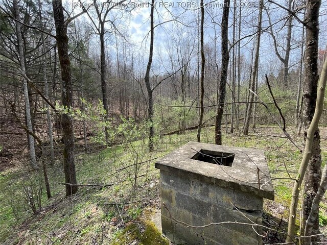 0 Wade Adkins Branch Rd, Kiahsville, WV 25512