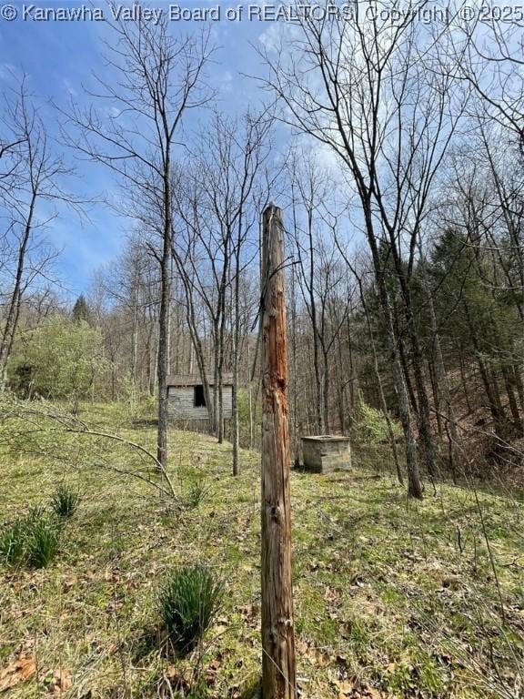 0 Wade Adkins Branch Rd, Kiahsville, WV 25512
