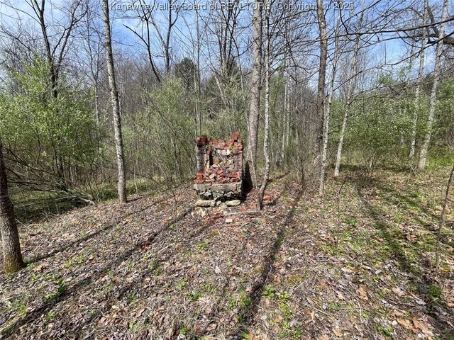 0 Wade Adkins Branch Rd, Kiahsville, WV 25512