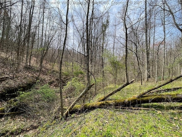 0 Wade Adkins Branch Rd, Kiahsville, WV 25512
