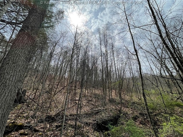 0 Wade Adkins Branch Rd, Kiahsville, WV 25512