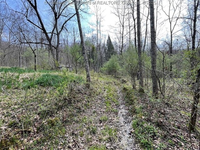 0 Wade Adkins Branch Rd, Kiahsville, WV 25512