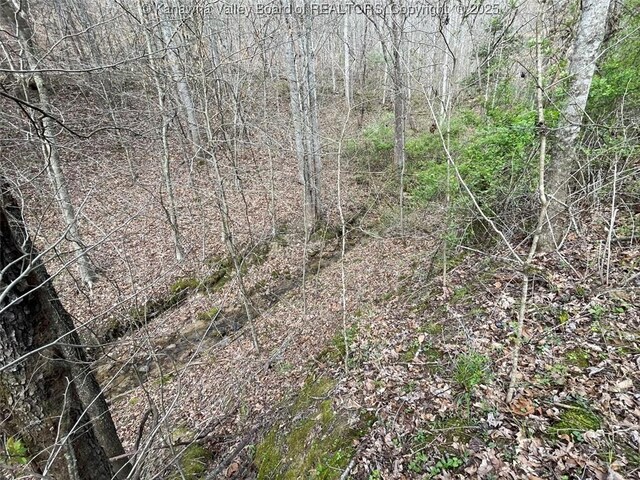 0 Wade Adkins Branch Rd, Kiahsville, WV 25512