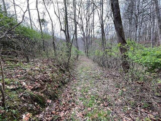 0 Wade Adkins Branch Rd, Kiahsville, WV 25512