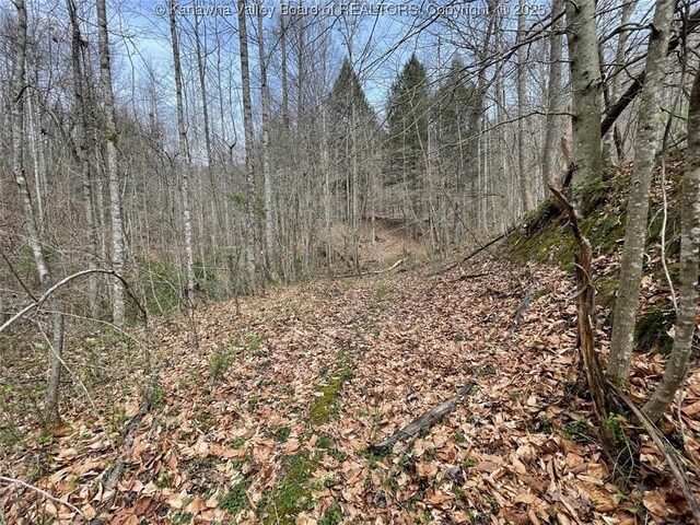 0 Wade Adkins Branch Rd, Kiahsville, WV 25512
