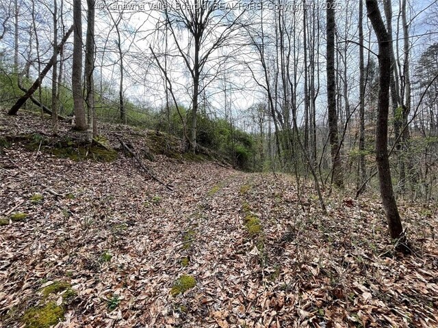 0 Wade Adkins Branch Rd, Kiahsville, WV 25512