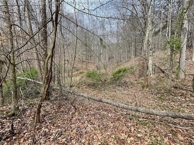 0 Wade Adkins Branch Rd, Kiahsville, WV 25512