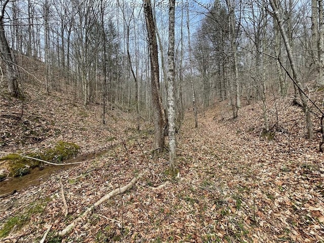 0 Wade Adkins Branch Rd, Kiahsville, WV 25512