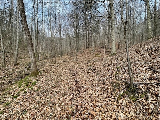 0 Wade Adkins Branch Rd, Kiahsville, WV 25512