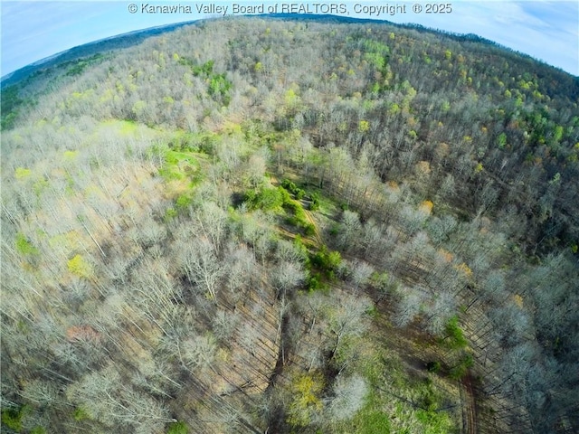 0 Evansview Rd, Evans, WV 25241