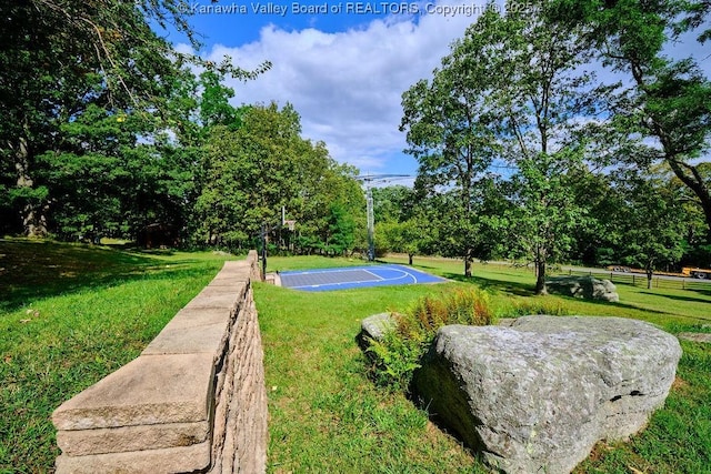 510 Shamrock Dr, Union, WV 26833 - view of sport court with basketball hoop and a yard