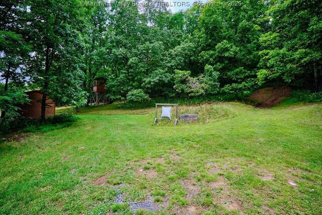 510 Shamrock Dr, Union, WV 26833 - view of yard with an outbuilding