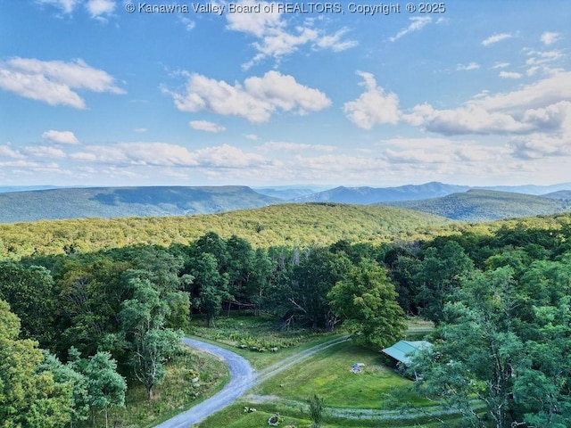 510 Shamrock Dr, Union, WV 26833 - bird's eye view featuring a mountain view and a forest view