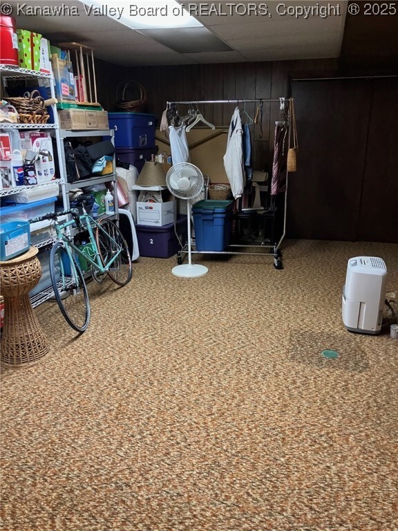 237 Lewis Ln, Point Pleasant, WV 25550 - view of storage