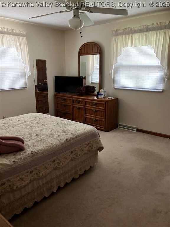 237 Lewis Ln, Point Pleasant, WV 25550 - bedroom featuring baseboards, visible vents, multiple windows, and light carpet