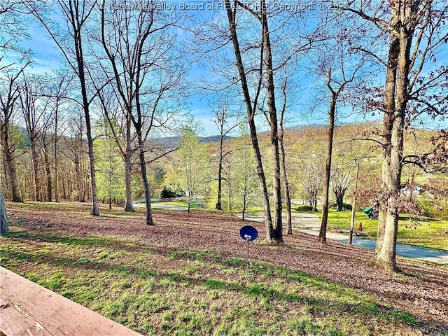 view of home's community with a wooded view