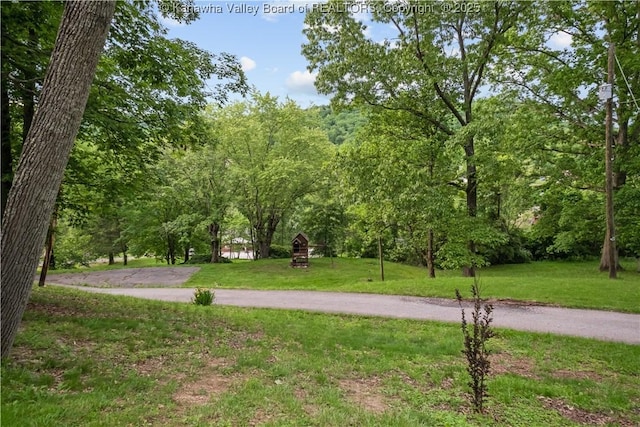 23 Mindia Ln, Alum Creek, WV 25003 - surrounding community featuring a lawn and a forest view