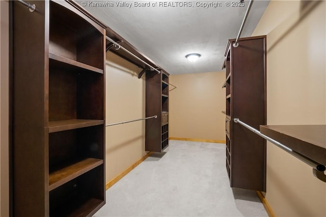 23 Mindia Ln, Alum Creek, WV 25003 - walk in closet with light colored carpet