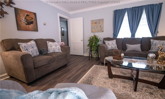 living area featuring baseboards, crown molding, and wood finished floors