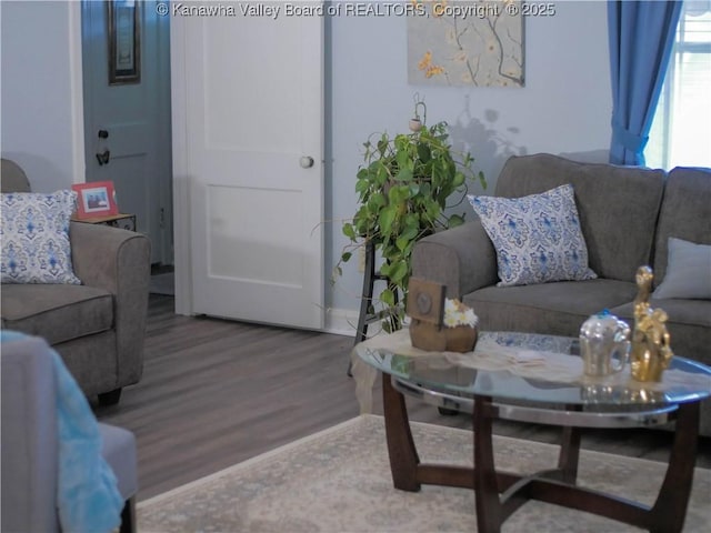 living room featuring wood finished floors