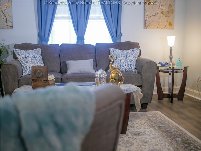 living area featuring baseboards and wood finished floors