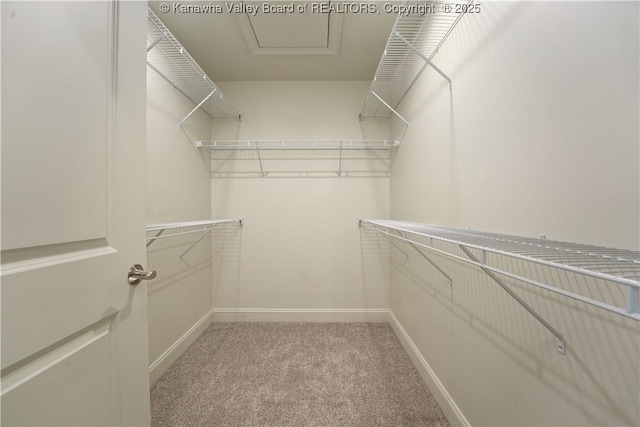 spacious closet with light carpet