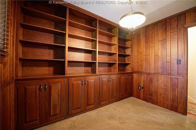 906 Hughes Dr, Saint Albans, WV 25177 - spacious closet featuring light carpet