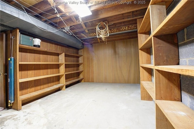 906 Hughes Dr, Saint Albans, WV 25177 - unfinished basement with wooden walls