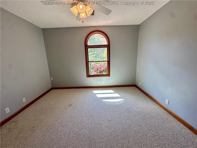 1079 Garrett Fork Rd, Chapmanville, WV 25508 - photo 25
