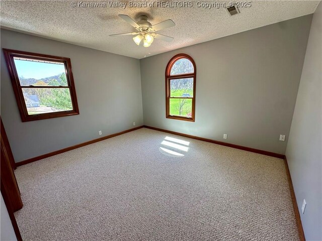 1079 Garrett Fork Rd, Chapmanville, WV 25508 - photo 26