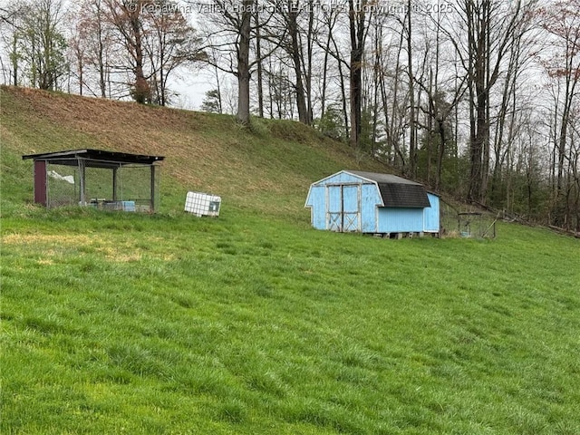 view of yard featuring an outbuilding and a shed