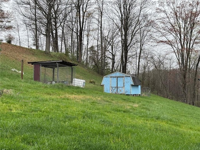 view of yard with an outbuilding and a storage unit