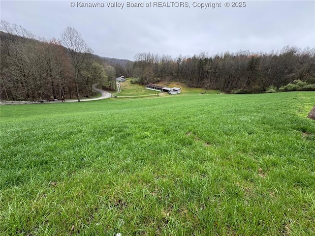 view of yard with a view of trees and a rural view
