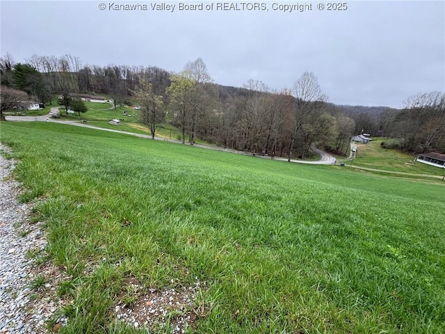 view of yard featuring a view of trees