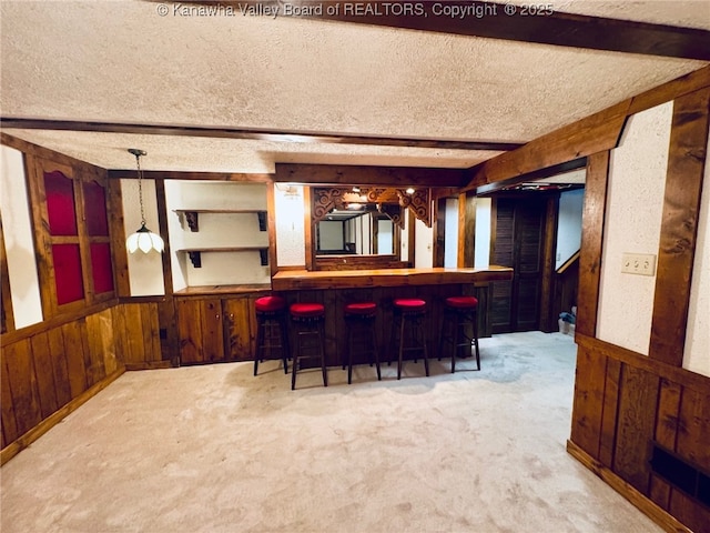 5218 Walnut Valley Dr, Charleston, WV 25313 - indoor dry bar with a textured ceiling, wood walls, carpet flooring, and a wainscoted wall