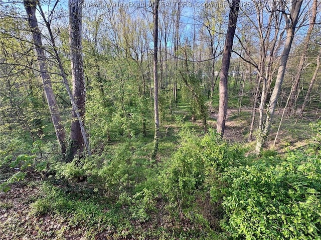 109 Cedar Ln, Saint Albans, WV 25177 - view of nature featuring a view of trees
