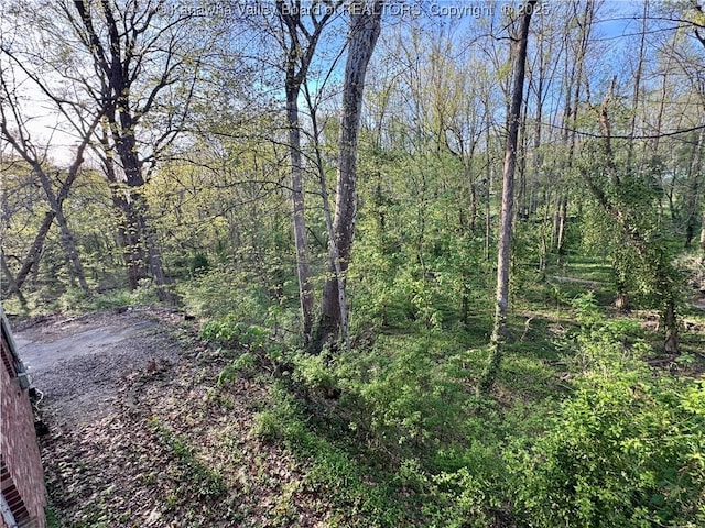 109 Cedar Ln, Saint Albans, WV 25177 - view of local wilderness featuring a wooded view