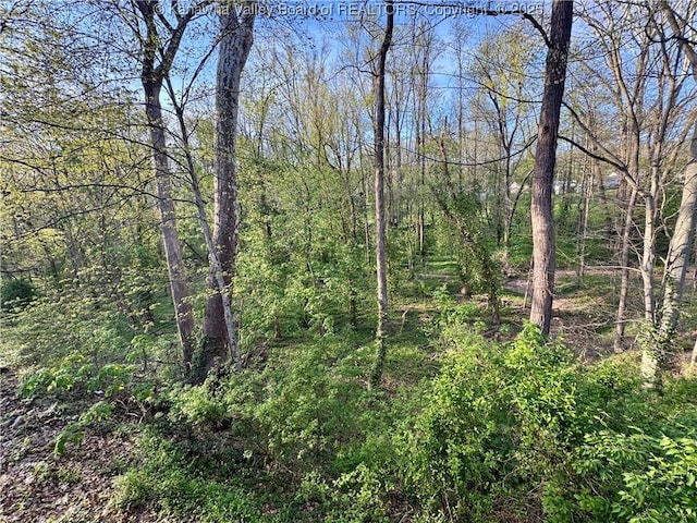 109 Cedar Ln, Saint Albans, WV 25177 - view of landscape featuring a wooded view