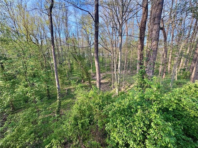 109 Cedar Ln, Saint Albans, WV 25177 - view of nature featuring a view of trees