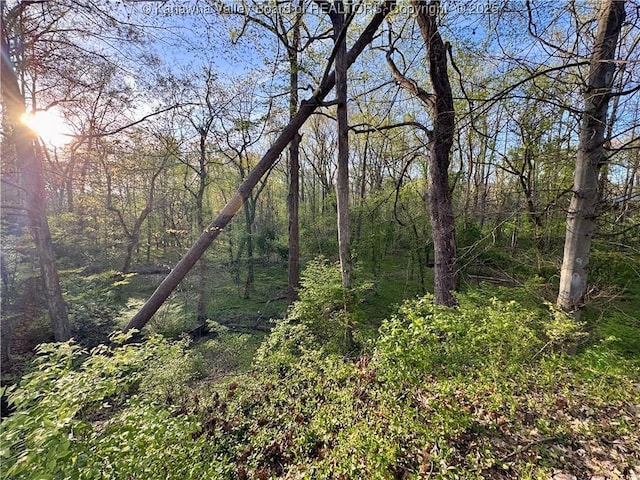 109 Cedar Ln, Saint Albans, WV 25177 - view of local wilderness featuring a wooded view