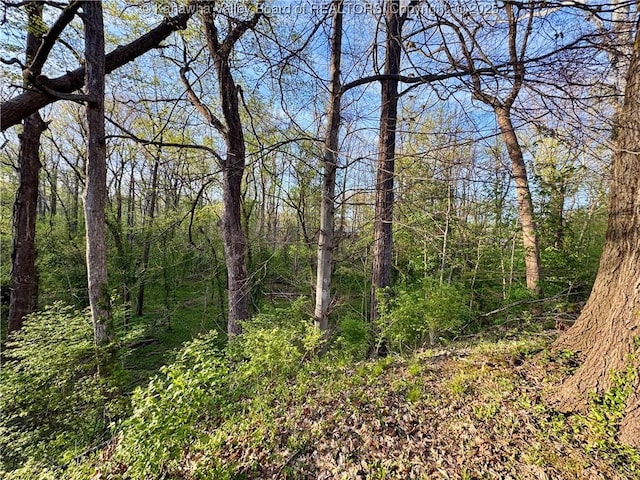 109 Cedar Ln, Saint Albans, WV 25177 - view of nature featuring a view of trees