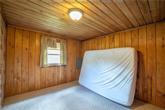 356 Joes Rd, Bomont, WV 25164 - unfurnished bedroom featuring wooden walls, carpet flooring, and wood ceiling