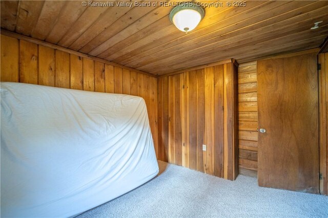356 Joes Rd, Bomont, WV 25164 - unfurnished bedroom featuring wooden ceiling, wood walls, and carpet
